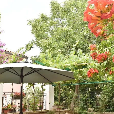 House Letizia * Premantura